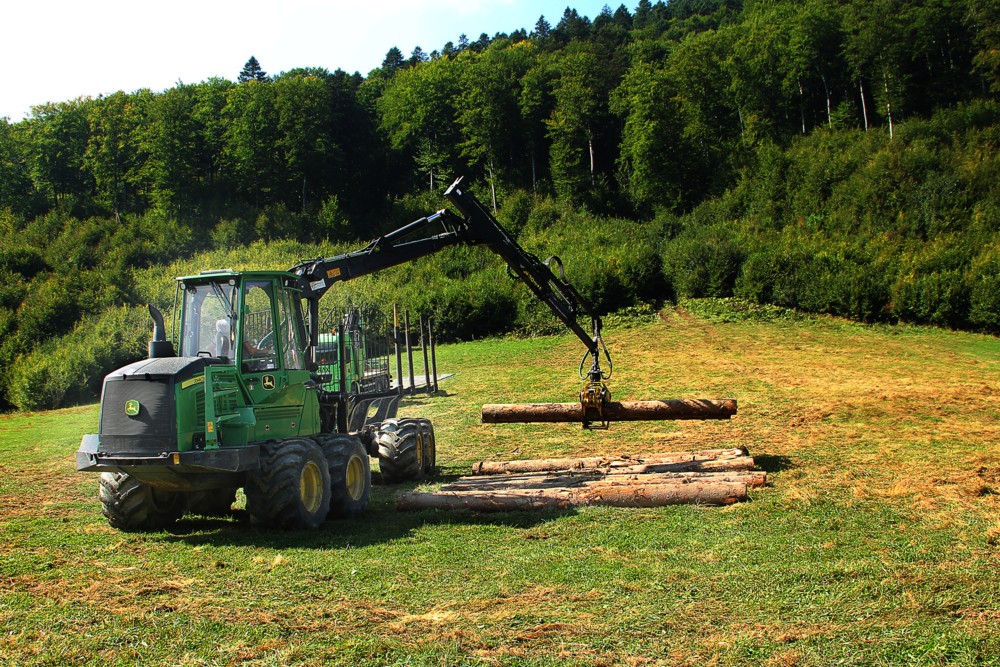 Participare Elmas la Forest Romania 2019